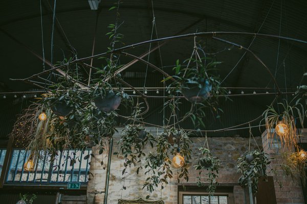 Interior garden house plants setting