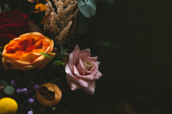 Close up of orange and pink rose/flowers