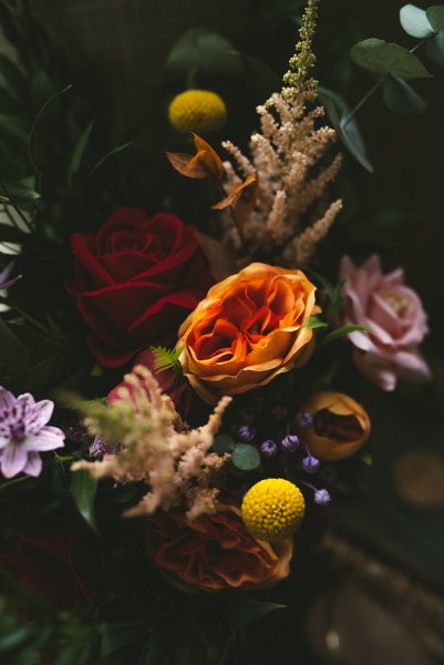 Close up of orange rose/flowers