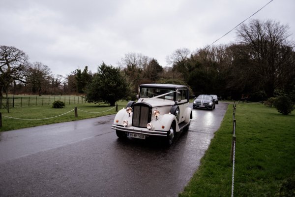 Wedding car with ribbon bow followed by other cars