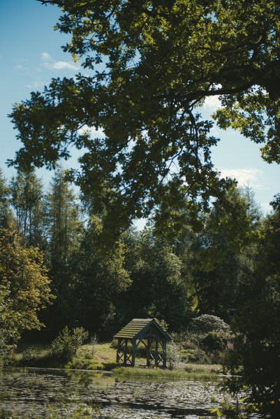 Hut in garden trees detail