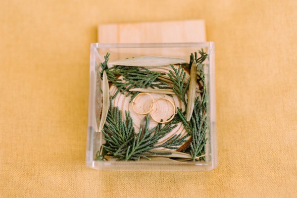 Two wedding bands rings in glass box