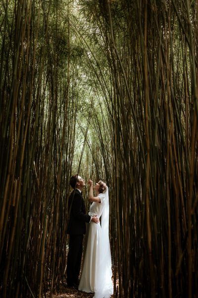 Bride and groom pose amongst the trees in forest holding each other looking up