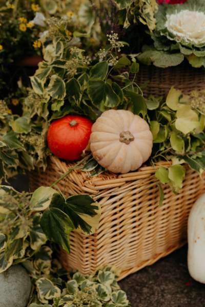 Miniature orange and white pumpkins