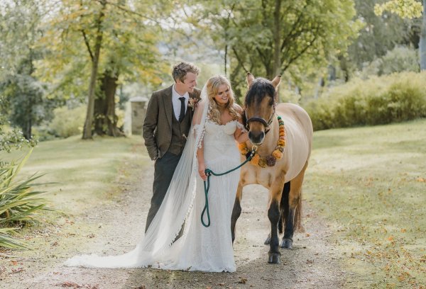 Bride groom and horse