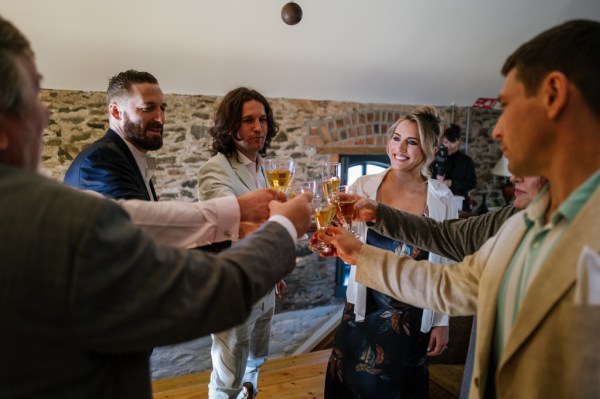 Cheers guests celebrating with wine