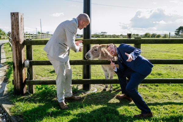 Guests with donkey at gate to farm