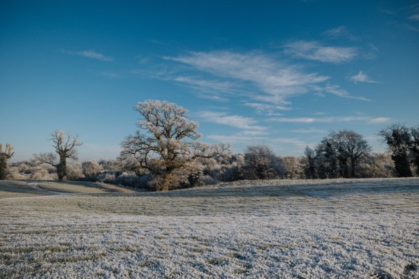 Shot of sky snow and trees in background