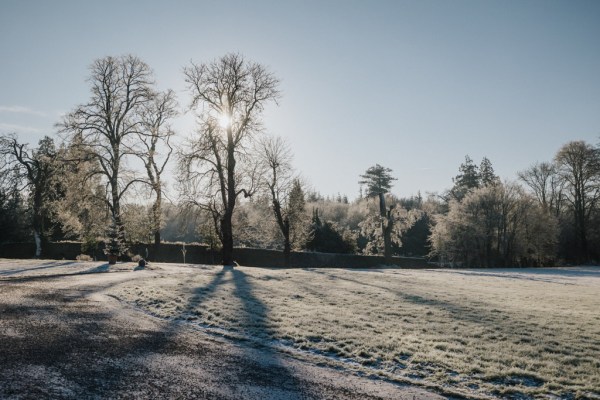 Grass covered in snow