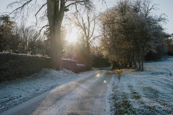 Pathway snow sun shining through trees