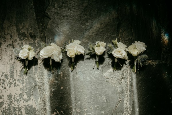 white roses flowers on wall