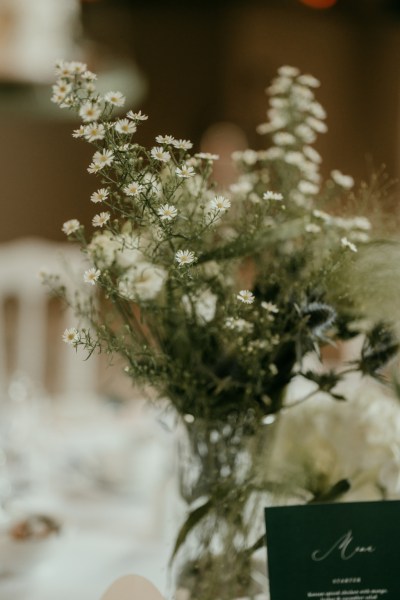 Close up of daisies flowers in vase