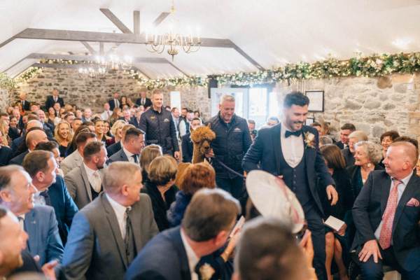 Llama bride groom interior ceremony setting and guests walking down the aisle