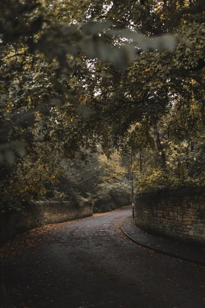 Empty garden park pathway setting