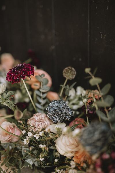 Exterior garden flowers roses