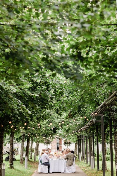 Guests seated forest park setting trees surrounding them