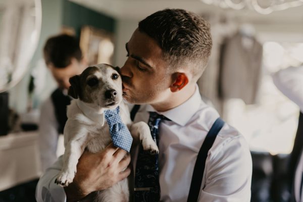 Groom kisses little Jack Russell dog