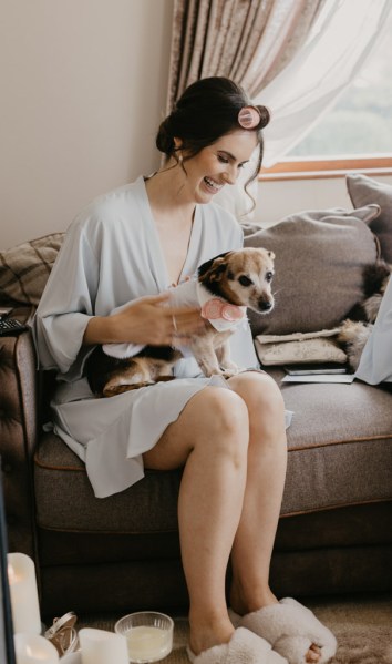 Little dog wearing gown sits on brides lap