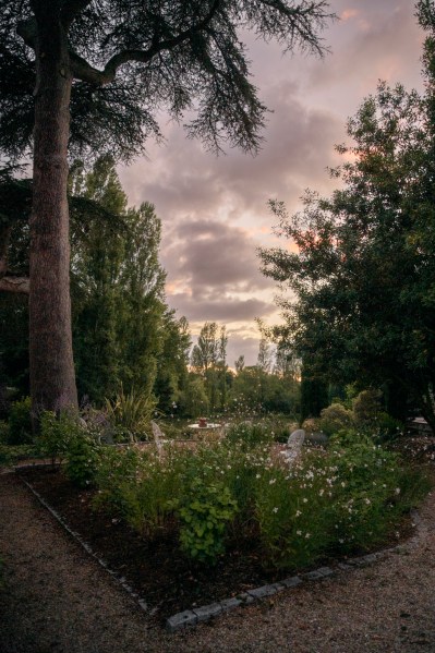 Evening moody skyline park setting trees