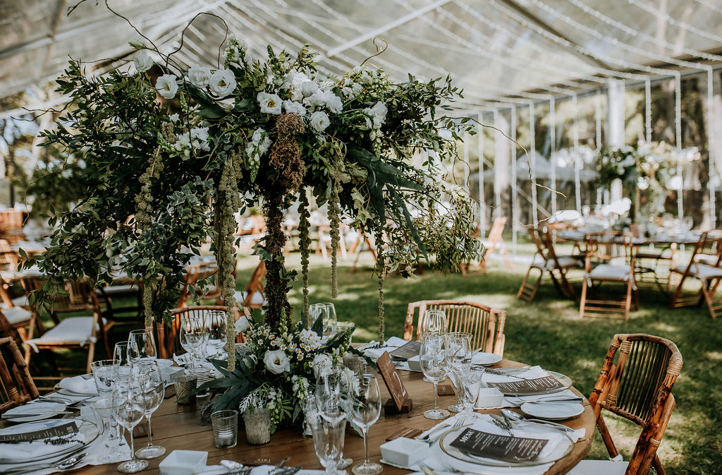 Catarine Pedro ceremony palm trees wedding setting