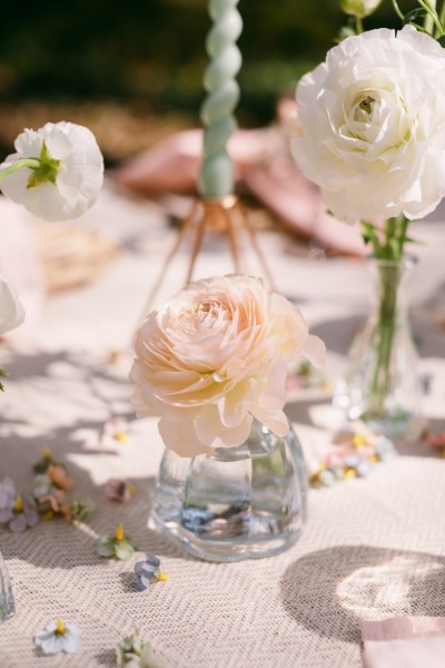 White pink rose on table pink themed vase