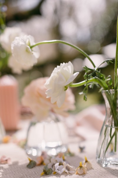 Pink flowers roses in vase on table