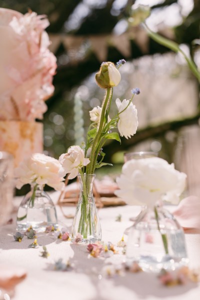 Pink flowers roses in vase on table