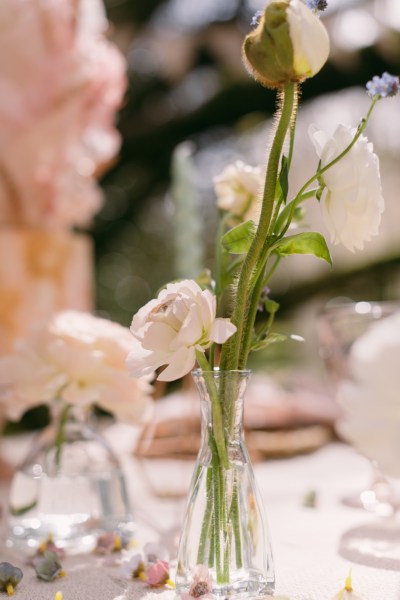 Pink flowers roses in vase on table