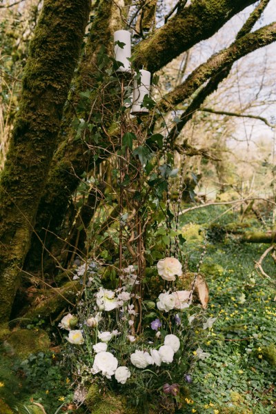 White flowers roses forest grass setting