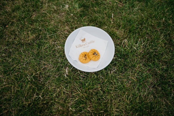 Plate with fruit on top placed on grass