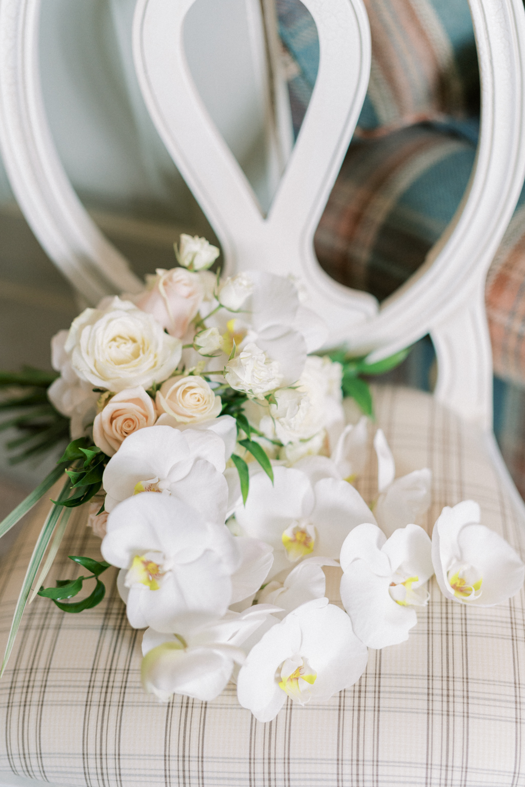 Close up of white roses flowers