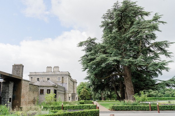 Garden view trees and wedding venue