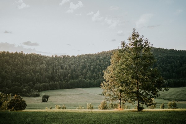 Garden forest view grass mountains greenery