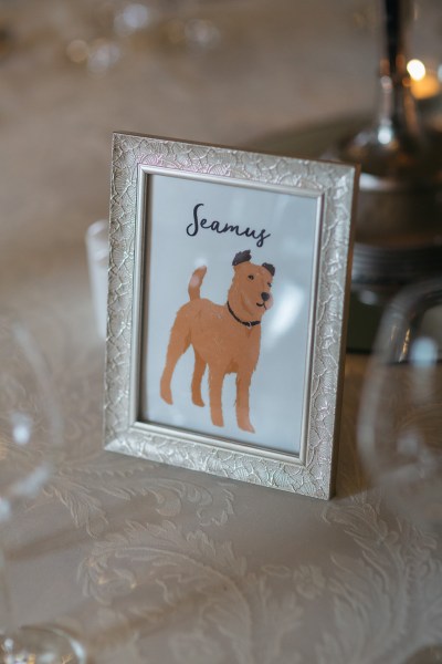 Sammy dog cartoon drawing in photo frame