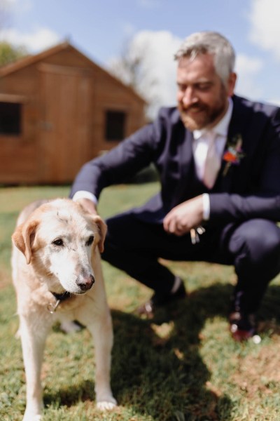 Groom pets Labrador dog in the garden