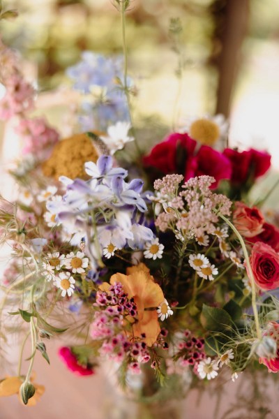 Up close shot of flowers colourful