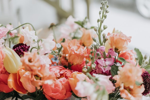 Orange pink roses glowers