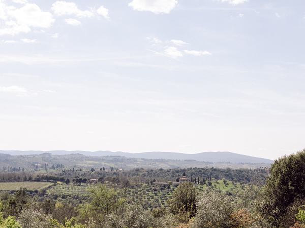 Wide shot of mountainous garden farm greenery sunny