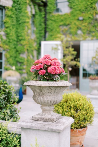 Pink flowers sitting in stone ornament