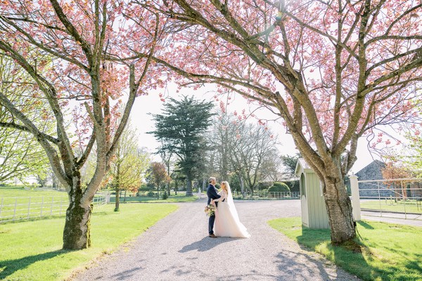 Wide shot of couple pink flowers trees overhead in park forest