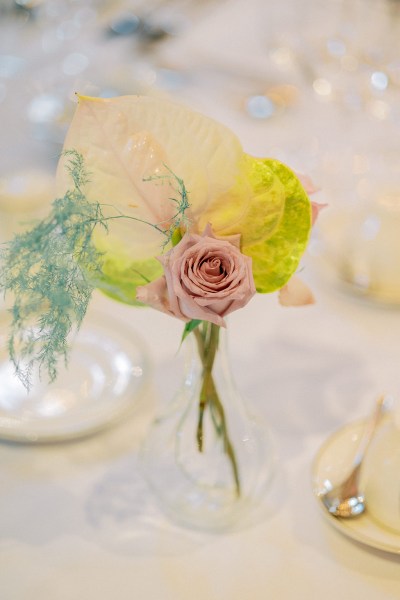 Close up of yellow and pink roses/flowers