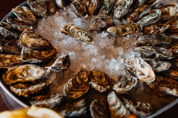 Oysters on ice