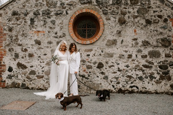 Brides and two little dogs in bowties against brick wall