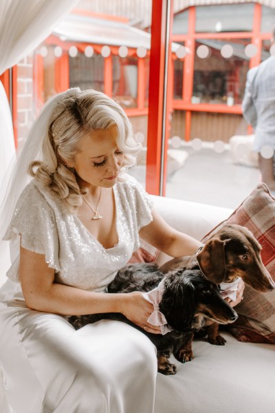 Brides with their two little dogs wearing suits