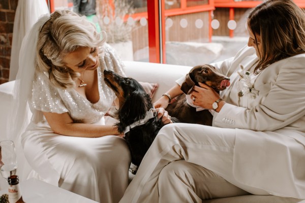 Brides with their two little dogs wearing suits kiss