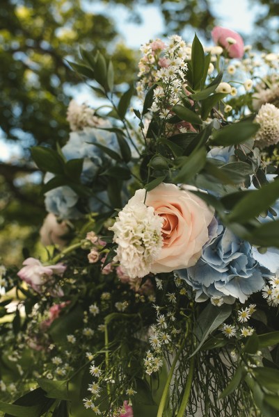 Pink white roses flowers