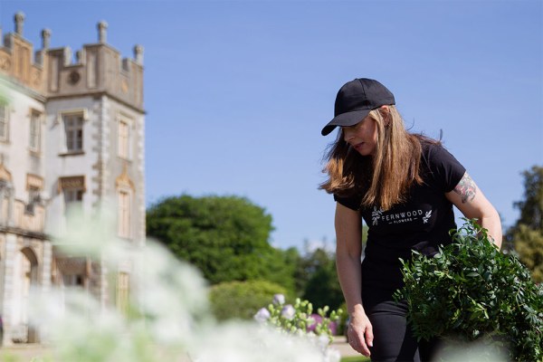 Gardener with cap on looking at flowers in garden