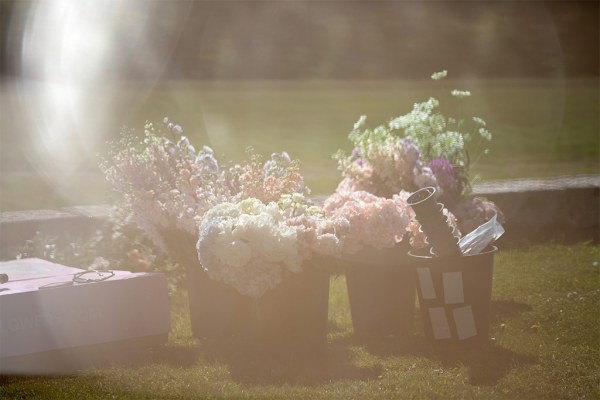 Garden view pots flowers