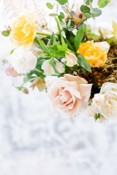 Close up on pink orange flowers and roses