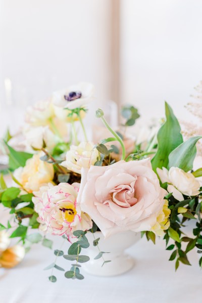 Close up on pink orange flowers and roses